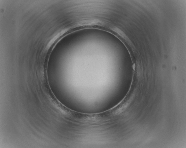 X0000076250834200610122203