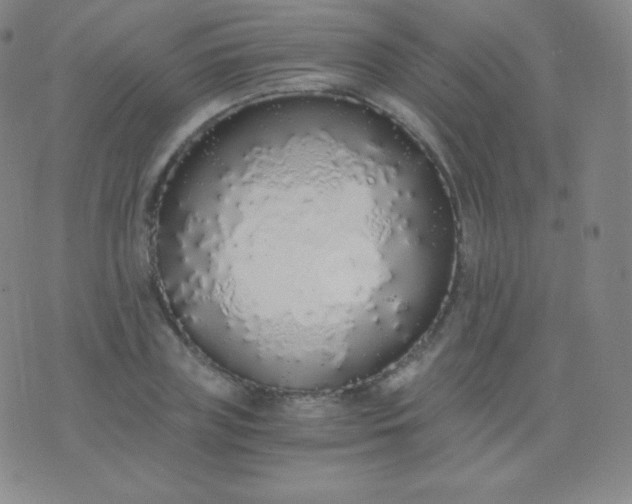 X0000076250835200610122203