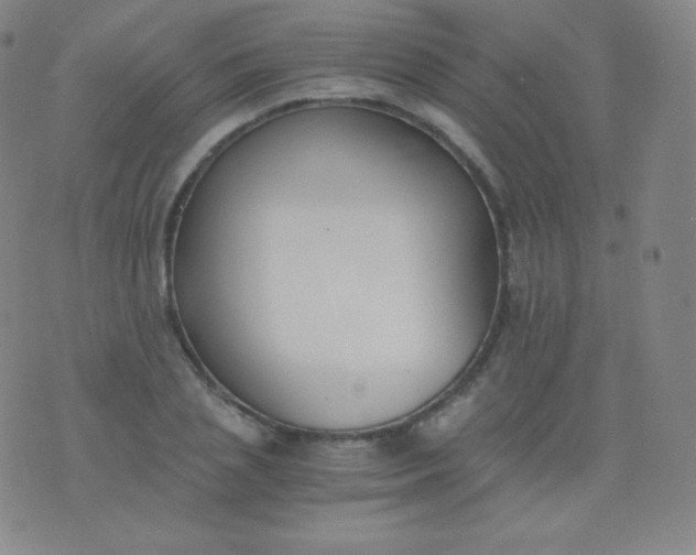 X0000076250837200610122203