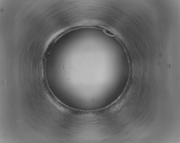 X0000076250838200610122203