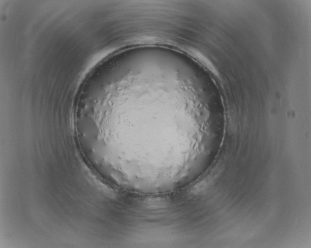 X0000076250839200610122203