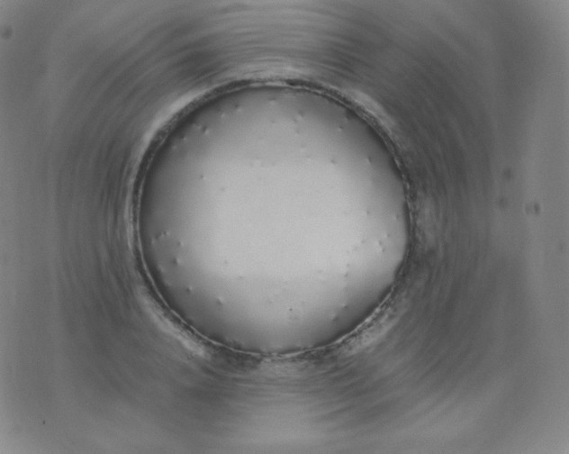 X0000076250840200610122203