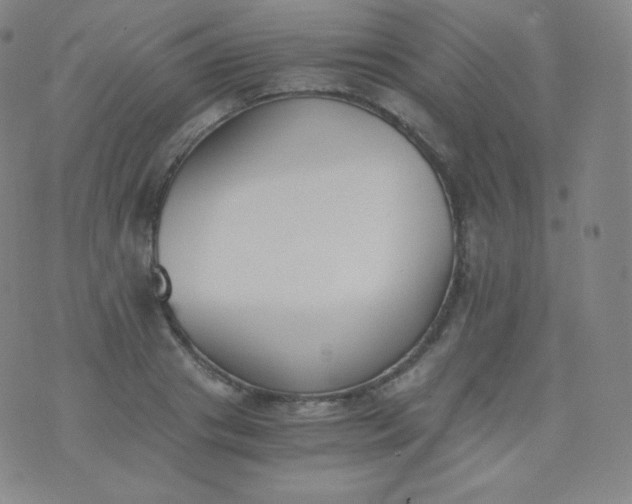 X0000076250841200610122203