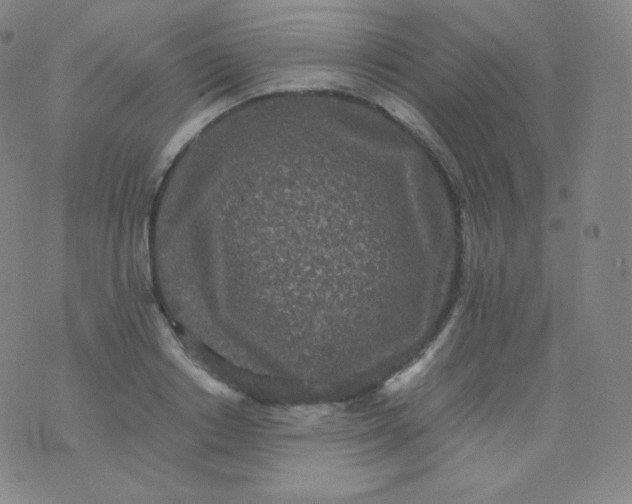 X0000076250842200610122203