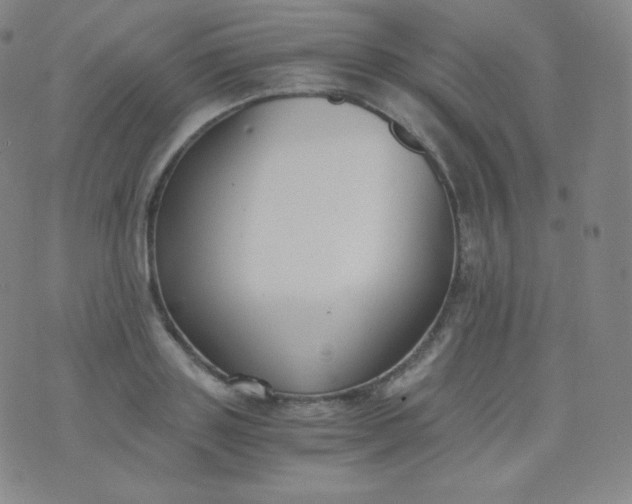 X0000076250843200610122203