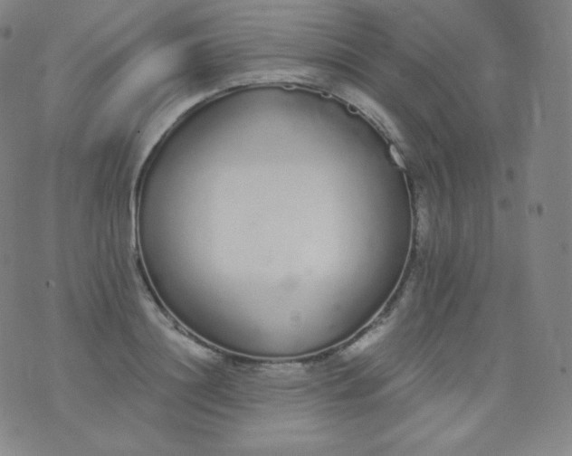 X0000076250844200610122203