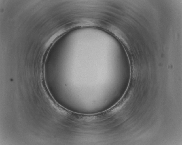 X0000076250845200610122203