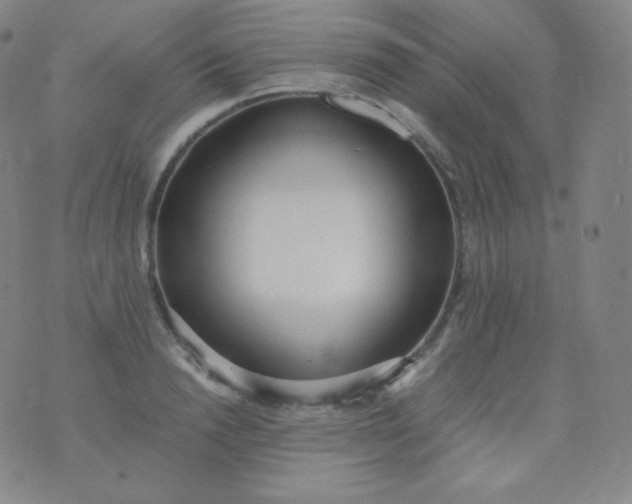 X0000076250846200610122203