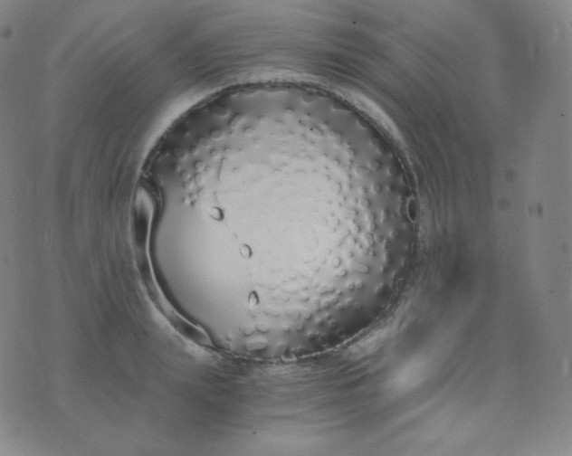 X0000076250847200610122203