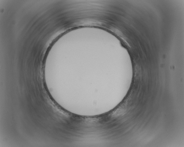 X0000076250848200610122203