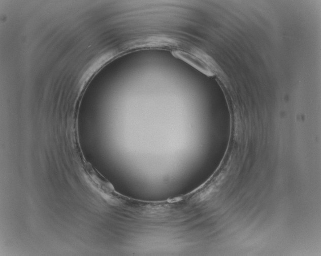 X0000076250850200610122203