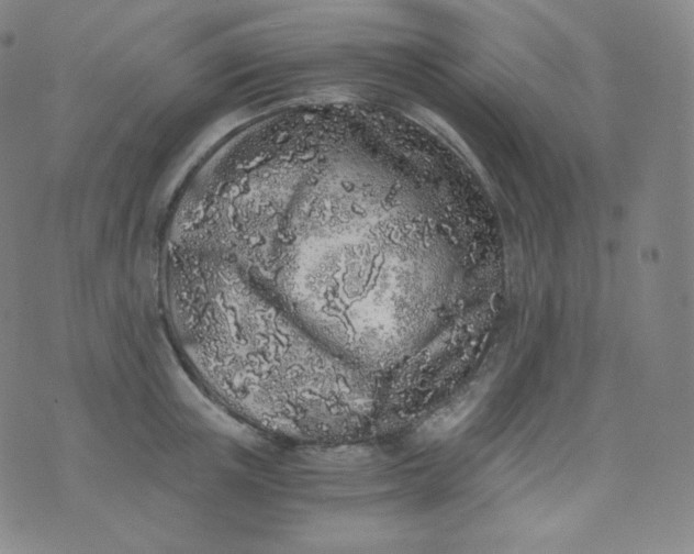 X0000076250851200610122203