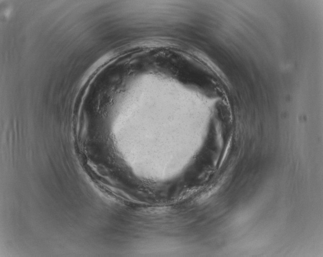 X0000076250853200610122203