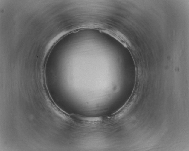 X0000076250854200610122203