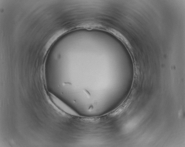 X0000076250855200610122203