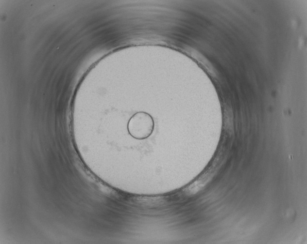 X0000076250856200610122203