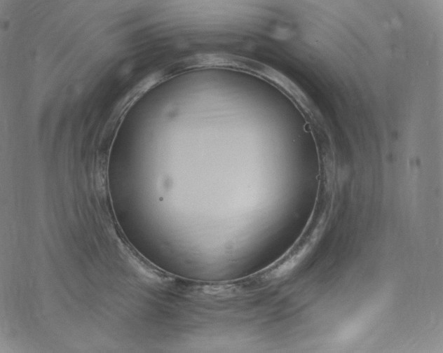 X0000076250857200610122203