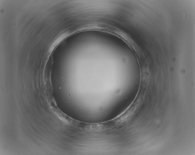 X0000076250858200610122203