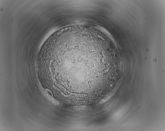 X0000076250859200610122203