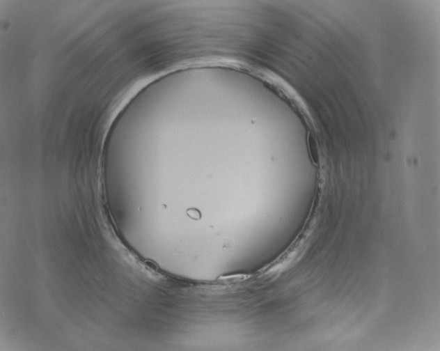 X0000076250860200610122203