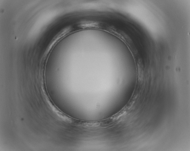 X0000076250861200610122203