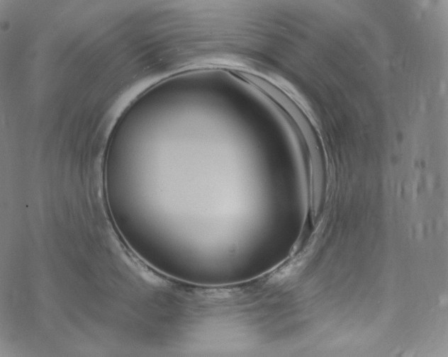 X0000076250862200610122203