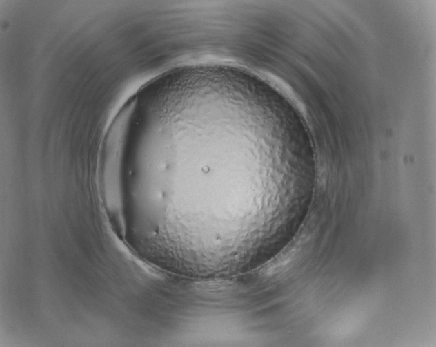 X0000076250863200610122203