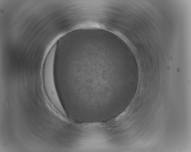 X0000076250864200610122203