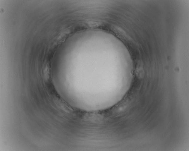 X0000076250866200610122203