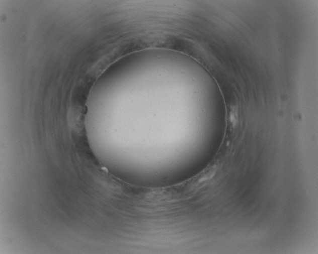 X0000076250867200610122203