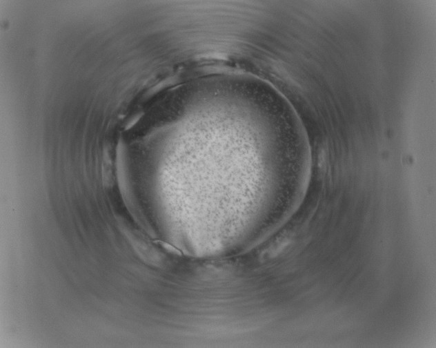 X0000076250868200610122203