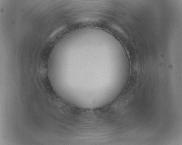 X0000076250869200610122203