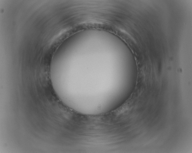 X0000076250870200610122203