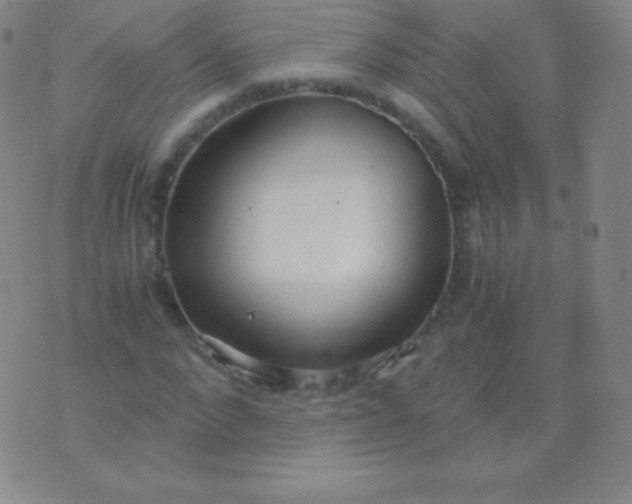 X0000076250872200610122203