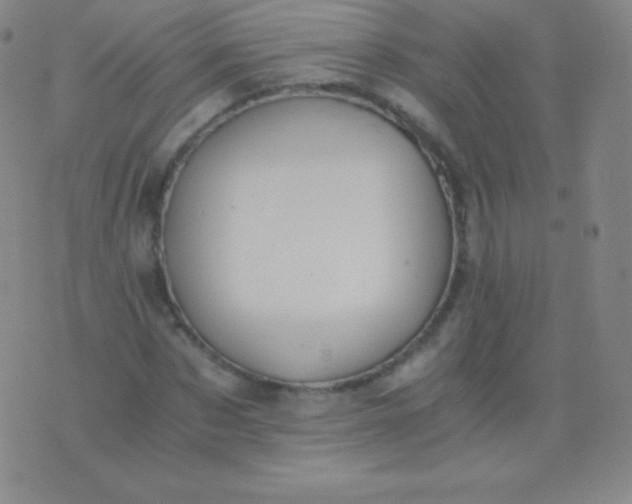 X0000076250873200610122203