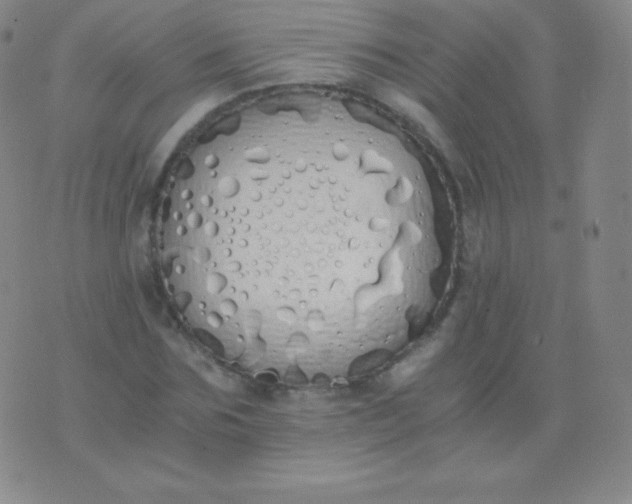 X0000076250875200610122203