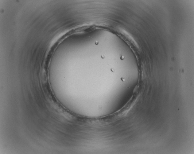 X0000076250876200610122203