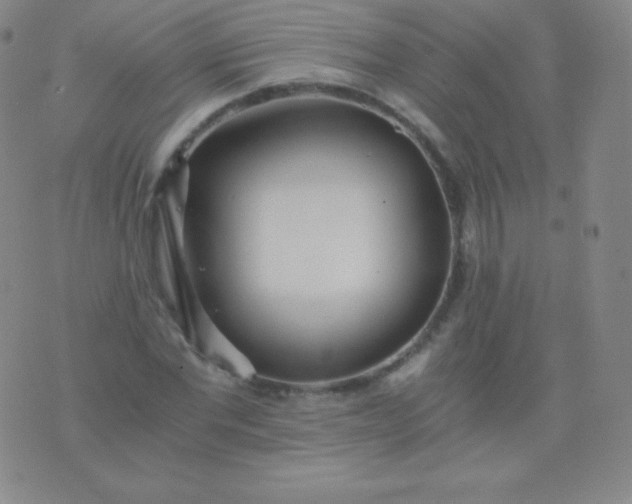 X0000076250877200610122203