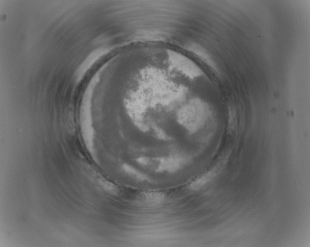 X0000076250878200610122202