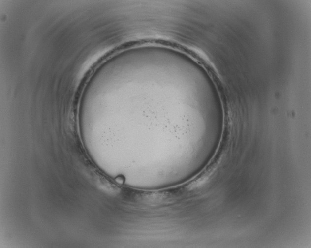 X0000076250879200610122202