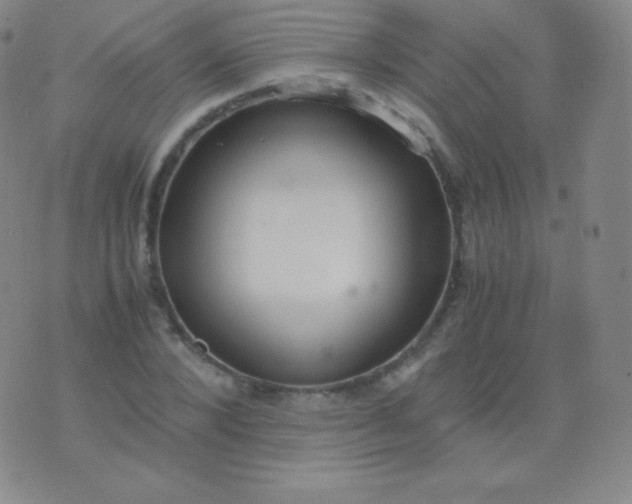 X0000076250880200610122202