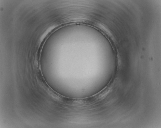 X0000076250883200610122202