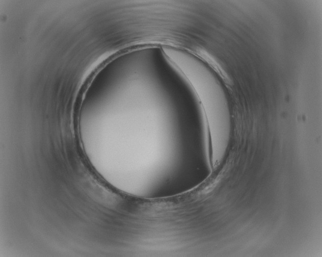 X0000076250884200610122202