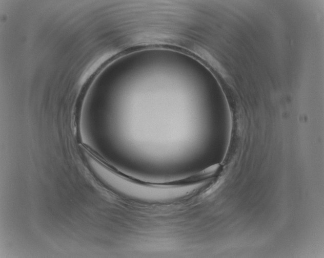 X0000076250885200610122202