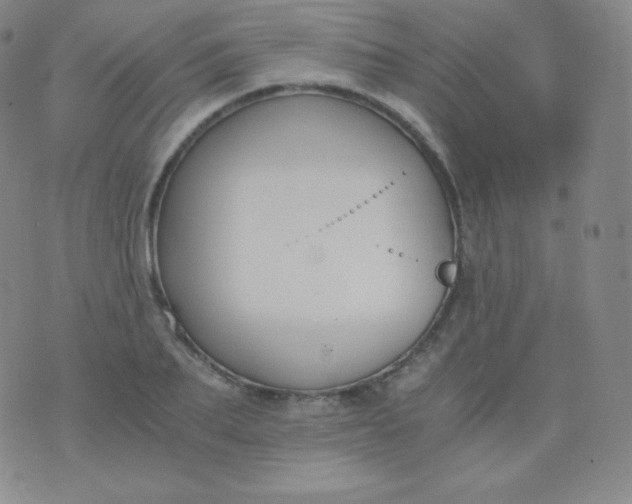 X0000076250887200610122202