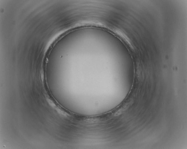 X0000076250888200610122202