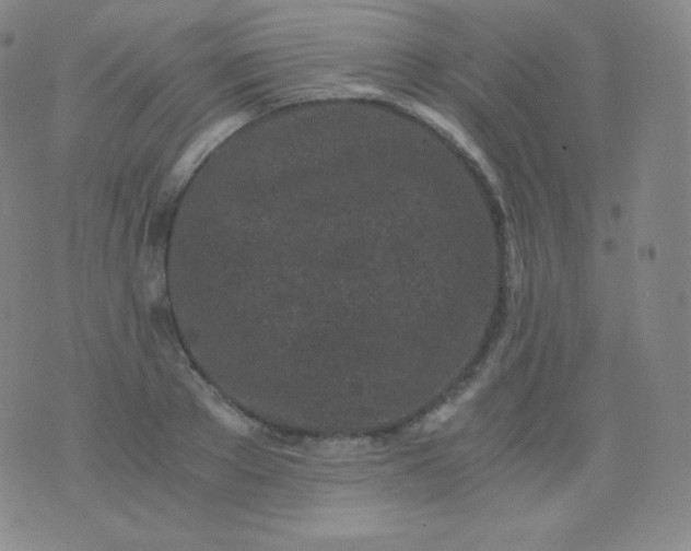 X0000076250889200610122202