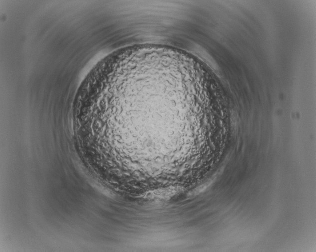 X0000076250891200610122202