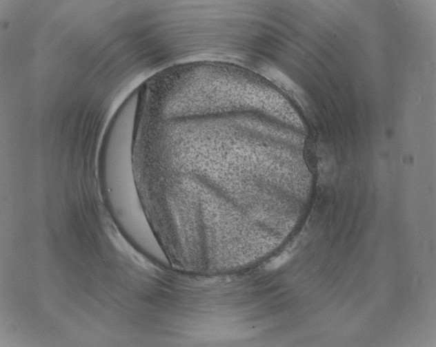 X0000076250892200610122202