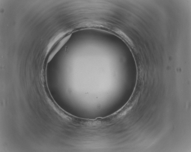 X0000076250893200610122202